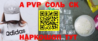 СК Кингисепп