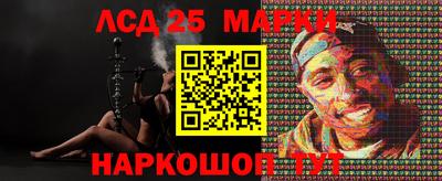 СК Кингисепп