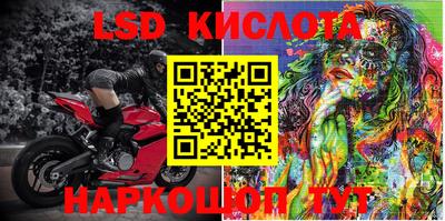 СК Кингисепп