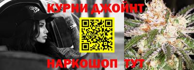 СК Кингисепп