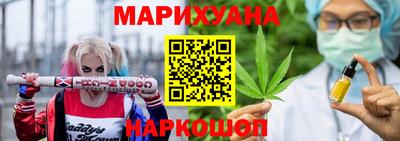 СК Кингисепп