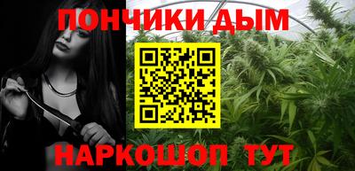 СК Кингисепп