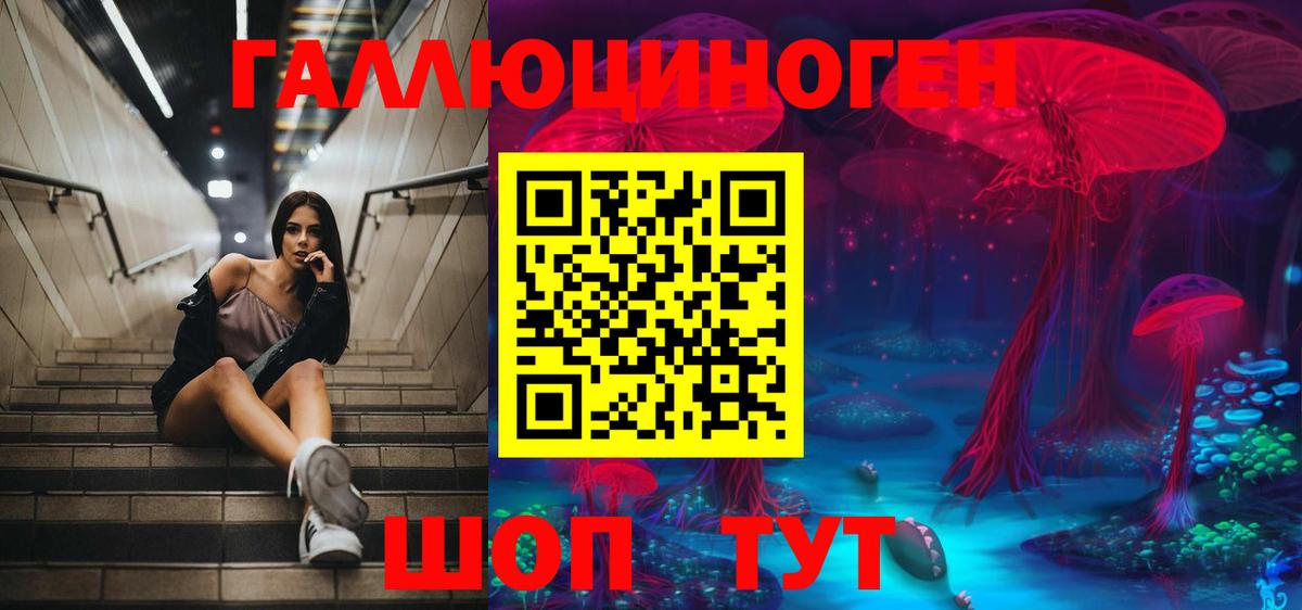 Псилоцибиновые грибы Psilocybine cubensis Кострома